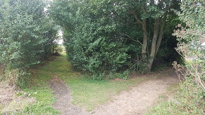 Watton Road Verge