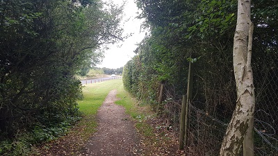 Watton Road Verge