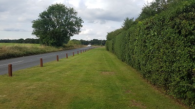 Watton Road Verge