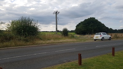 Watton Road Verge
