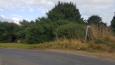 Photograph of Knebworth 3