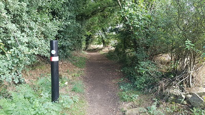 Photograph of Knebworth 3