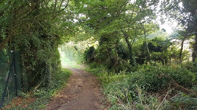 Photograph of Knebworth 3