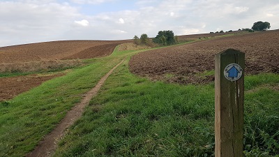 Photograph of Knebworth 3