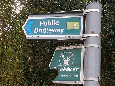 Photograph of Knebworth 30