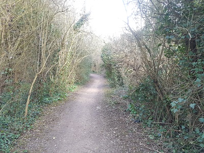 Photograph of Letchworth 23 on Letwchworth Greenway