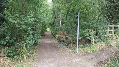 Letchworth 4