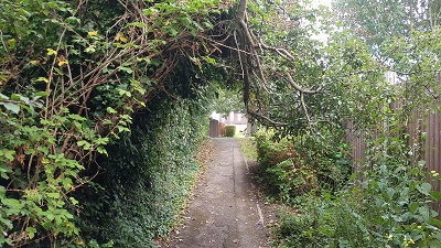 Letchworth 4