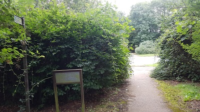 Letchworth 4