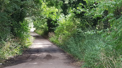 Letchworth 4