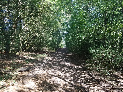 View along the route