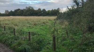 Little Hadham