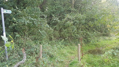Little Hadham