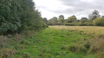 Little Hadham