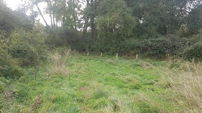 Little Hadham