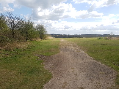 Photograph of Luton 38