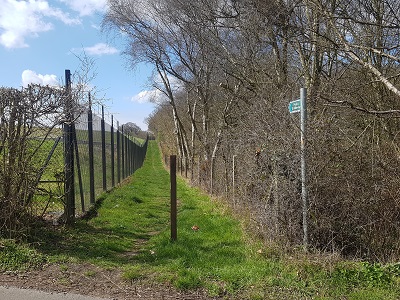 Photograph of Luton 37