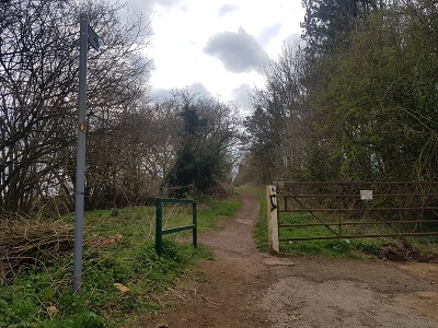 Photograph of Luton 38