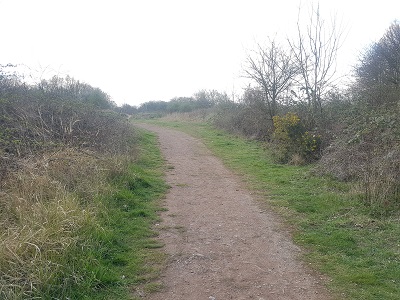 Photograph of Luton 38