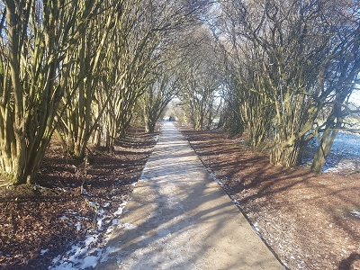 Photograph of Offley/Luton county boundary route