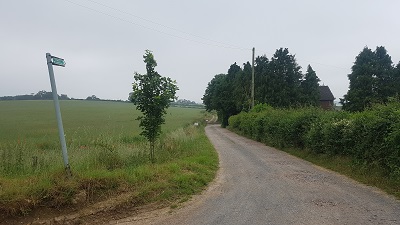 Offley 40 sign at E end