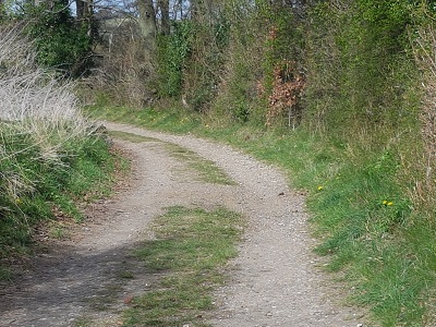 Photograph of Preston 17
