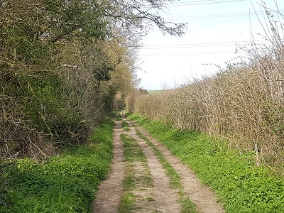 Photograph of Preston 17