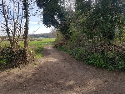 Photograph of Preston 17