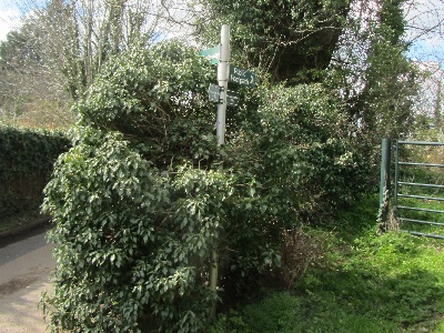 Photograph of Redbourn 23