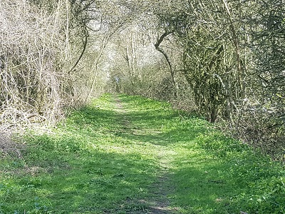 Photograph of Reed 21 looking east