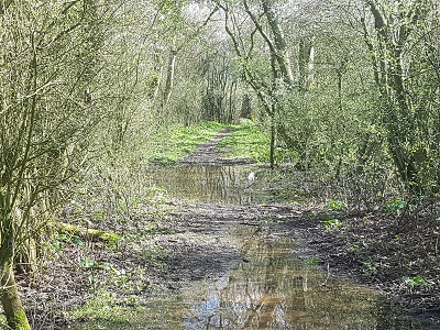 Photograph of Reed 21 looking east
