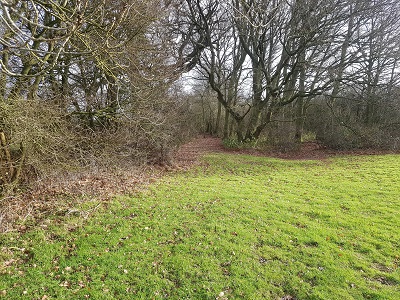 Photograph of Metropolitan Common Land CL25