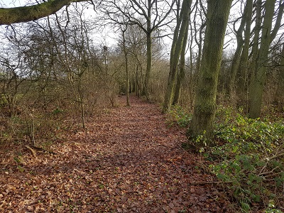 Photograph of Metropolitan Common Land CL25