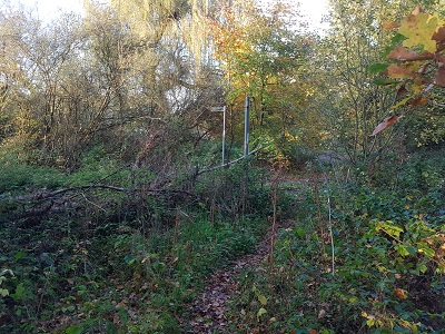Photograph of Ridge 21