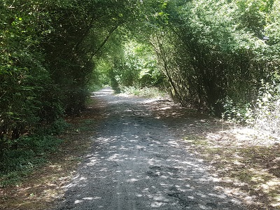Photograph of Ridge 27