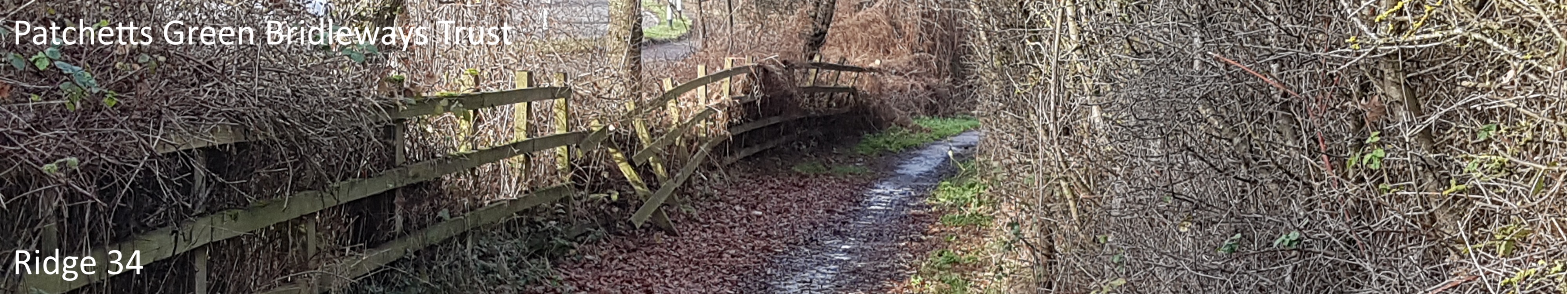 Image of Ridge 34 bridleway taken in 2021 showing path with trees and a fence