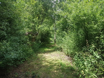 Photograph of Ridge 36