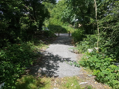 Photograph of Ridge 36