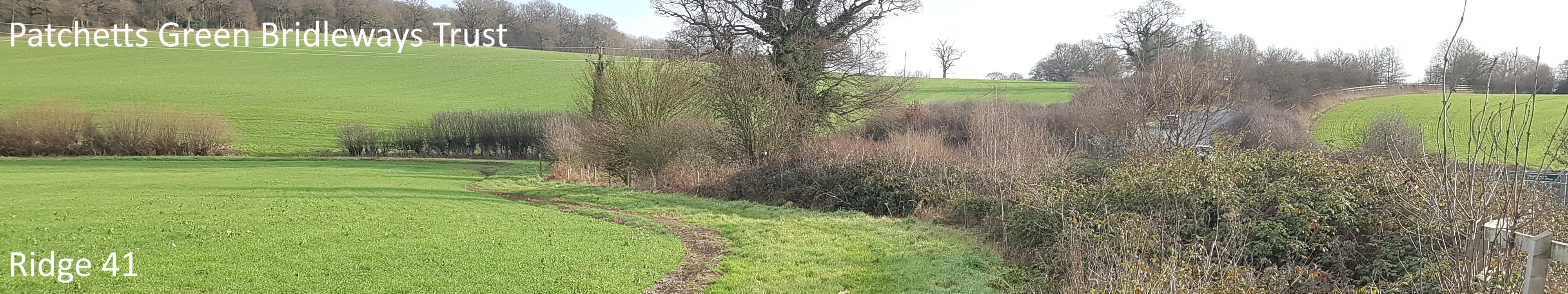 image of Ridge 41 bridleway taken in 2023 showing headland path