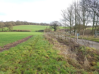Photograph of Ridge 41