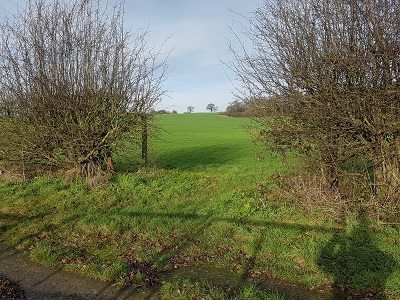 Photograph of Ridge 41