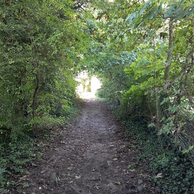 Royston 10 bridleway