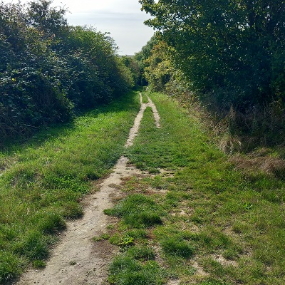 Photograph of Royston 13 and Therfield 12