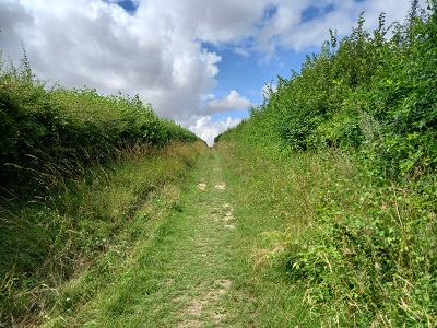 Photograph of Royston 13