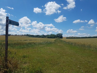 Photograph of Rushden and Wallington 32