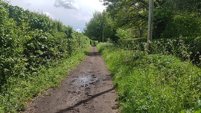 Sarratt 75
