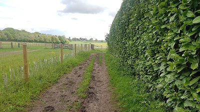 Sarratt 75