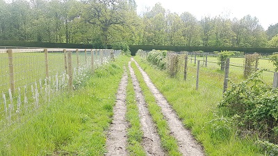 Sarratt 75