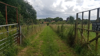 Sawbridgeworth 18