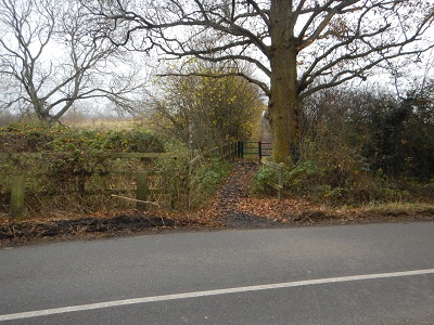 Photograph of Shenley 10